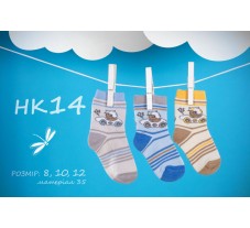 НК14, шкарпетки (1 пара), бавовна, для хлопчика
