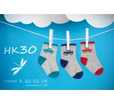 НК30, шкарпетки (1 пара), бавовна