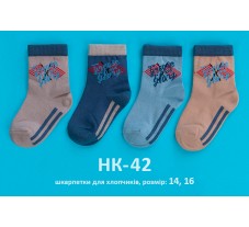 НК42, шкарпетки (1 пара), бавовна, для хлопчика
