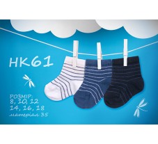 НК61, шкарпетки (1 пара), бавовна, для хлопчика